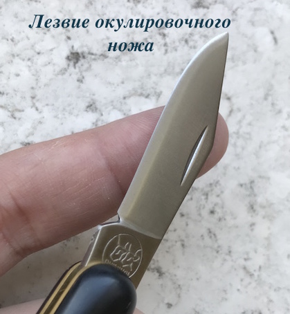 Материалы изготовления ножей