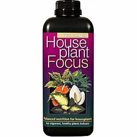 Удобрения для комнатных растений Houseplant Focus