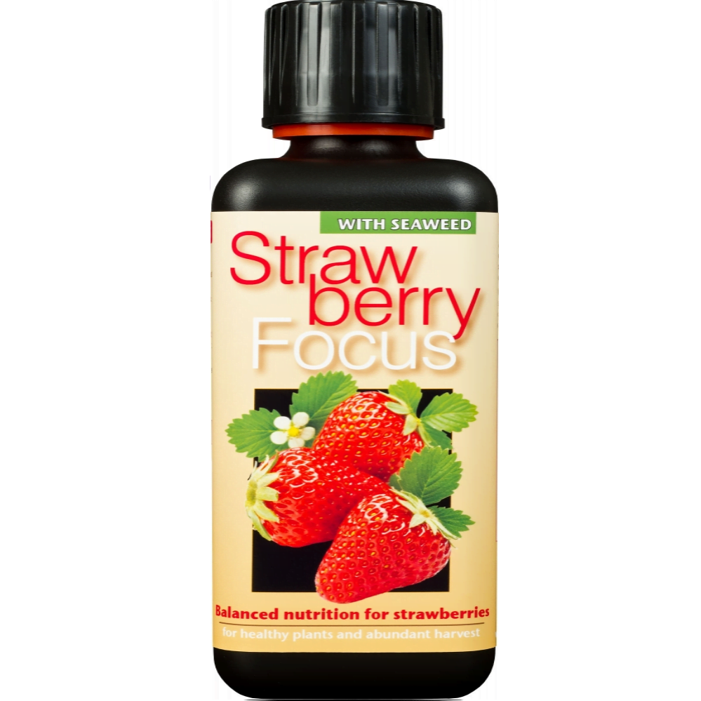 Удобрение для земляники Strawberry Focus